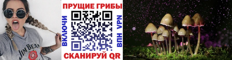Псилоцибиновые грибы GOLDEN TEACHER Оха
